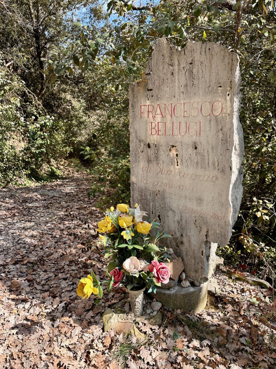 IMG 0361 1
