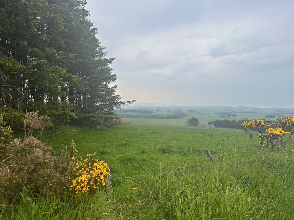 EuroVelo 1 - misty landscape in Eastern Scotland