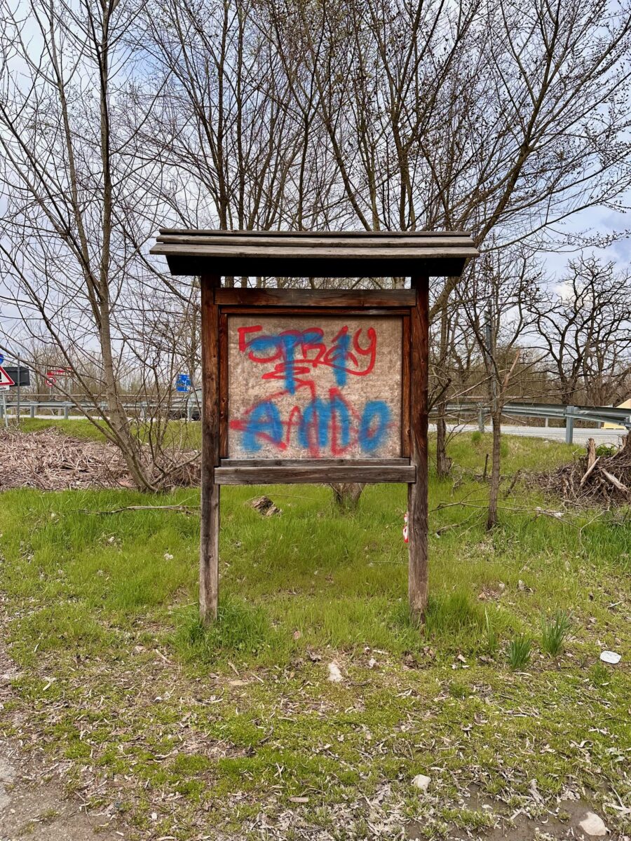 IMG 0630
