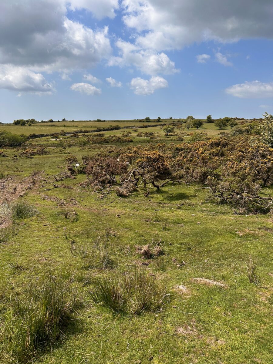 Land's End to John o'Groats - hills in Minions