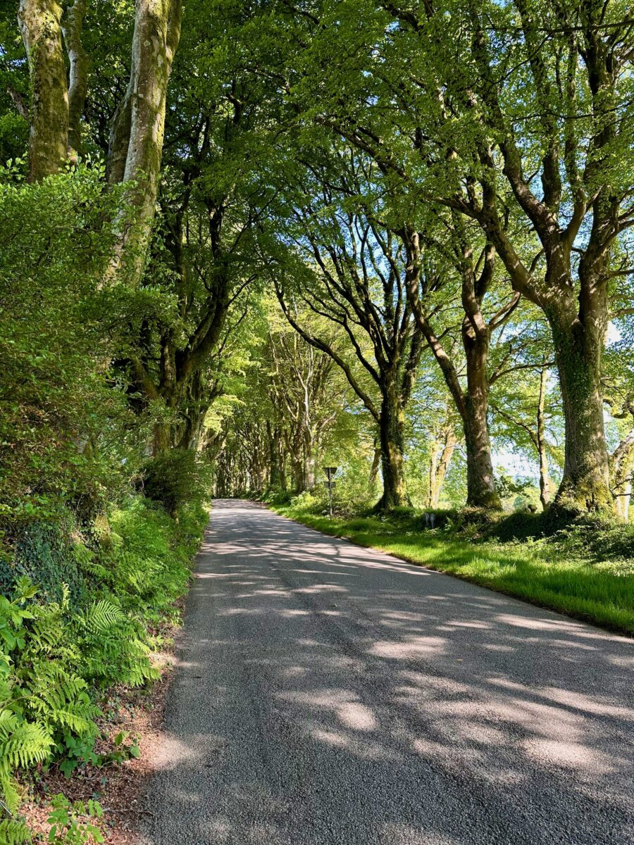 Land's End to John o'Groats - beautiful road in Devon