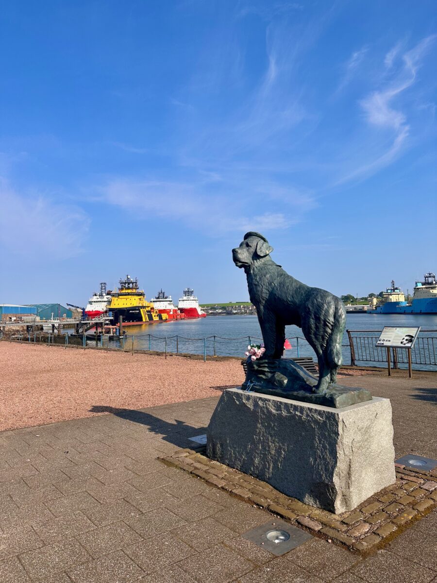 Bamse, a war hero of Montrose