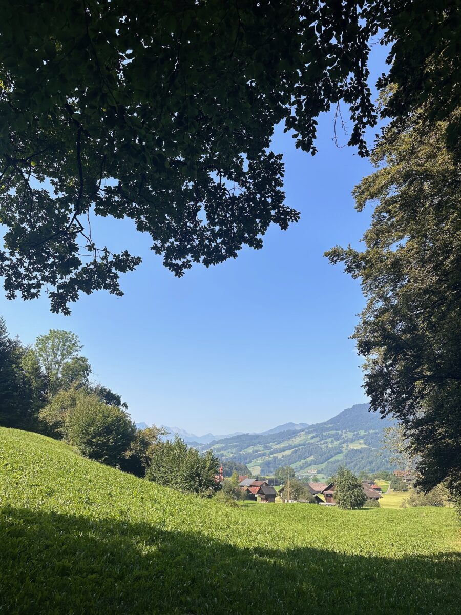 IMG 3990