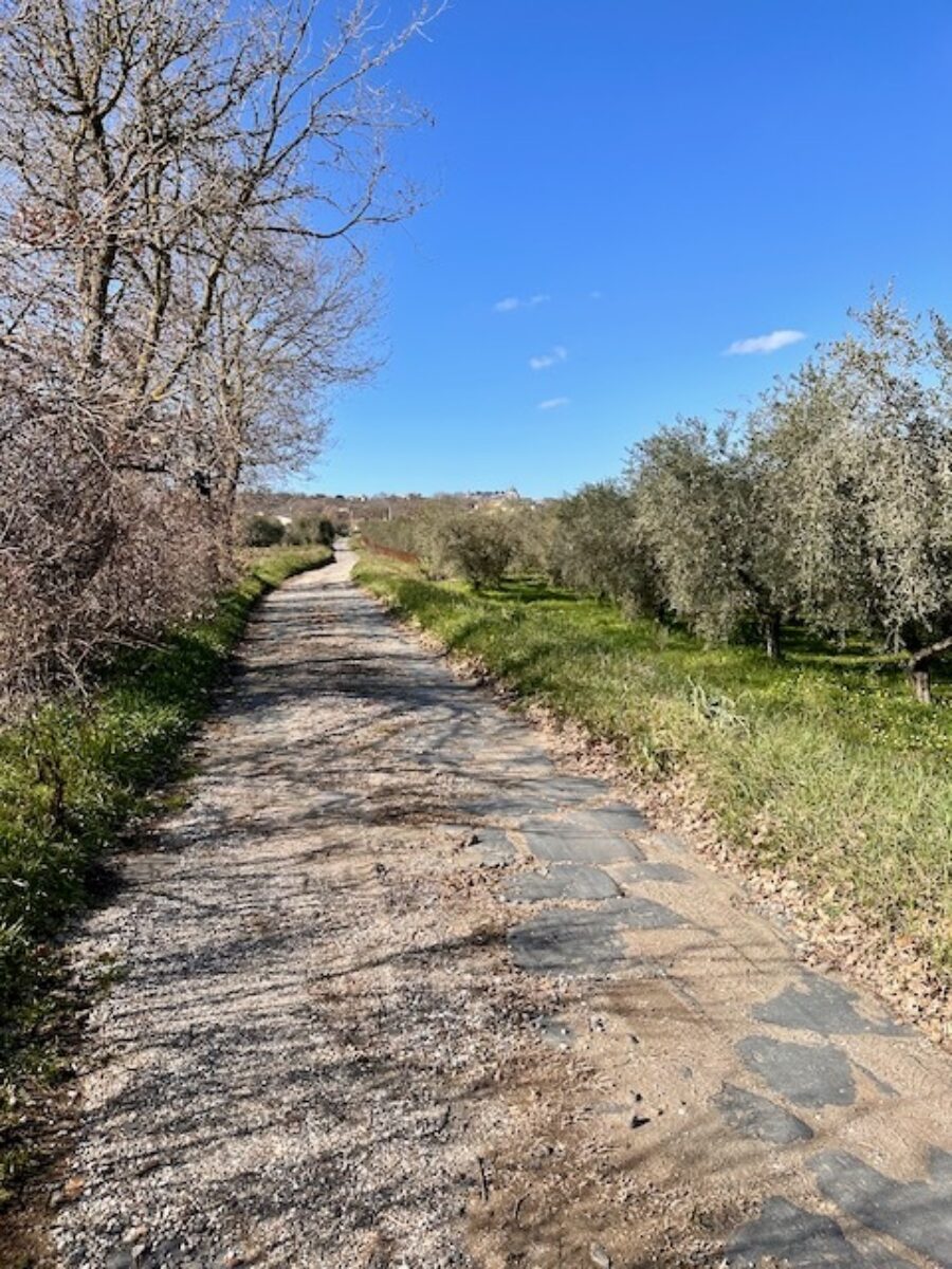 IMG 0296 1