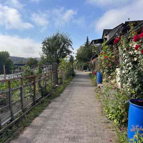 EuroVelo 5 - rose gardens and industrial building on the way to Saarbrücken