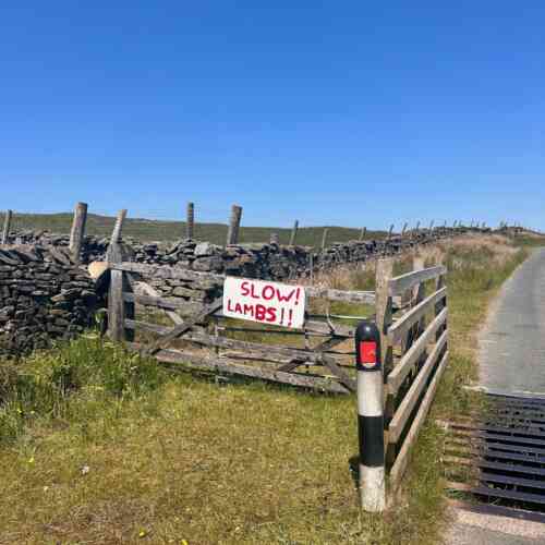 Land's End to John o'Groats - Slow. Lambs!
