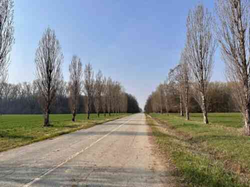 Eurovelo 8 - road in the Parco Naturale di Stupinigi