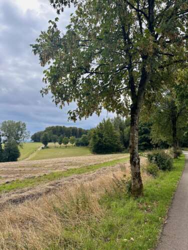 EuroVelo 5 - great bike roads in Luxembourg
