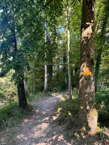 IMG 3966 1