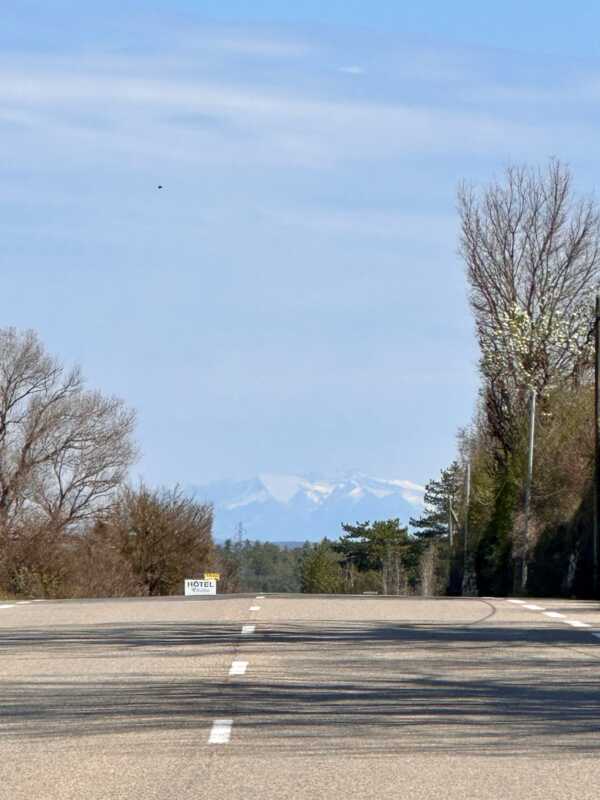IMG 0875