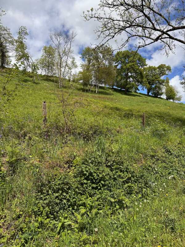 EuroVelo 4 - Beautiful hills in the Normandy