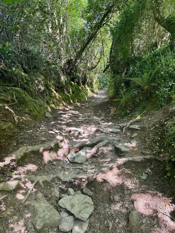 Land's End to John o'Groats - jarring stretch to Lostwithiel