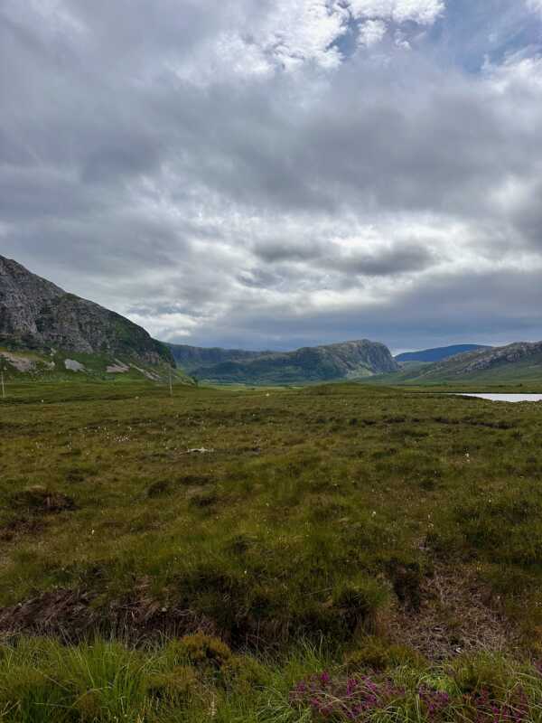 North Coast 500 - beautiful heathland landscape
