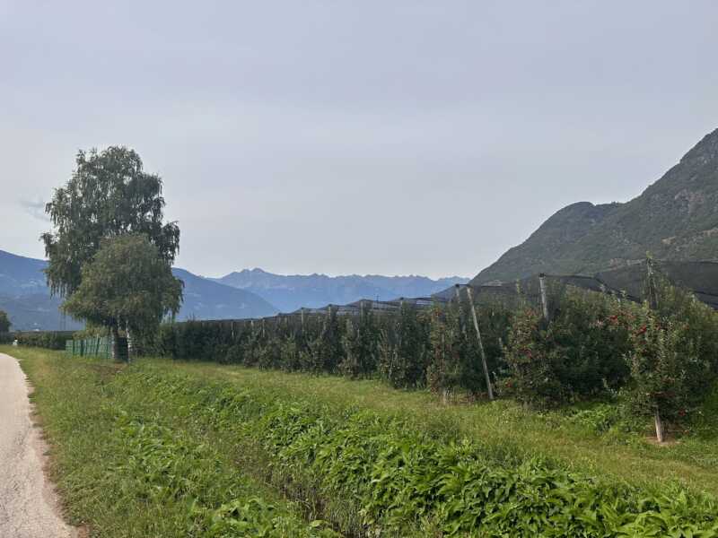 IMG 4324