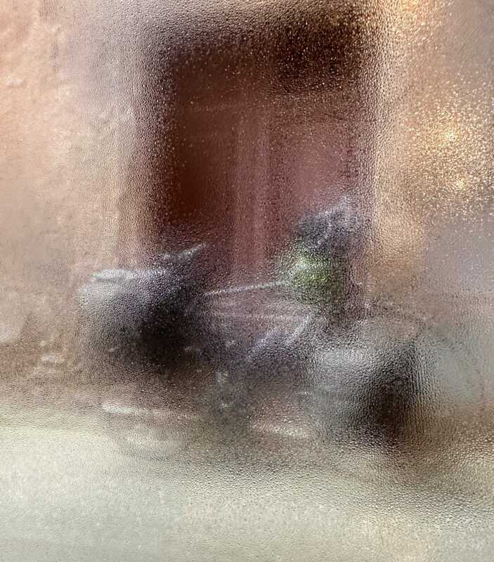 IMG 0506