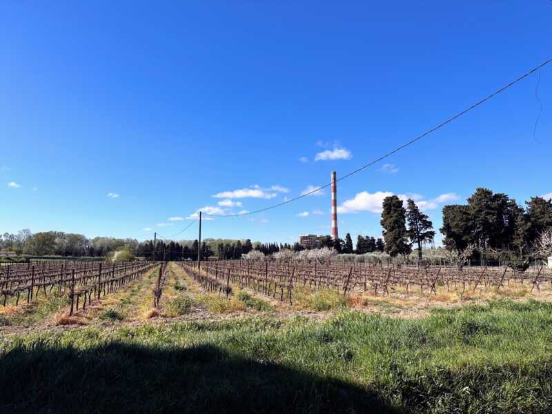 Eurovelo 8 - Just out of Avignon